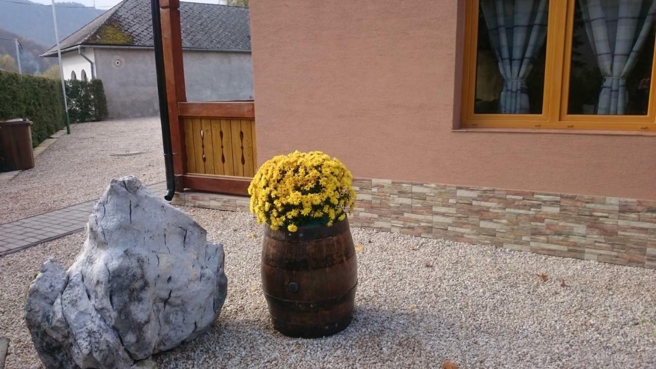 Penzion Vian Krasnohorska Dlha Luka Екстер'єр фото